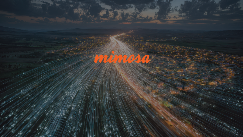 Mimosa banner